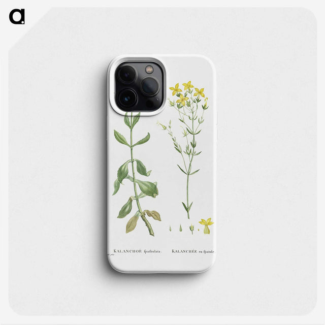 1-93_Histoire-des-Plantes-Grasses_phone