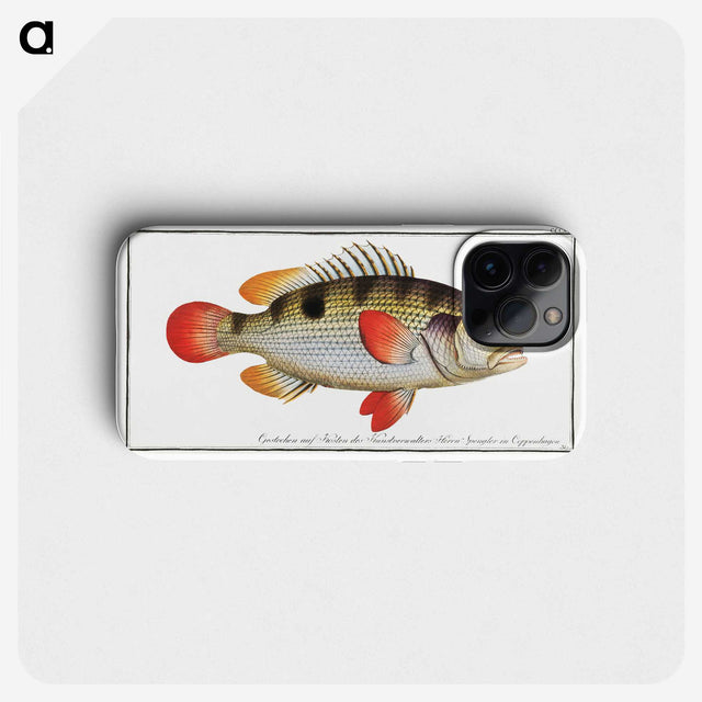 1-93_Ichtyologie-ou-Histoire-naturelle_phone