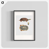 1-93_Indian-Zoology_blk