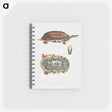 1-93_Indian-Zoology_memo
