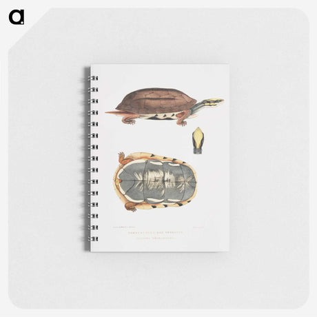 1-93_Indian-Zoology_memo