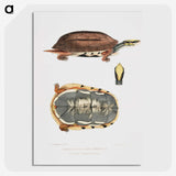 1-93_Indian-Zoology_picture-crop