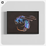 1-93_Insects-Unlocked-Project_blk-crop