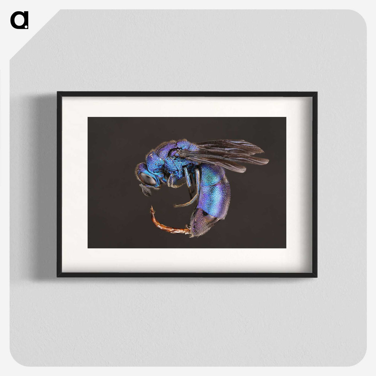 1-93_Insects-Unlocked-Project_blk