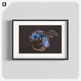 1-93_Insects-Unlocked-Project_blk