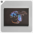 1-93_Insects-Unlocked-Project_canvas