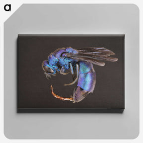 1-93_Insects-Unlocked-Project_canvas