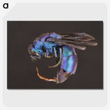 1-93_Insects-Unlocked-Project_picture-crop