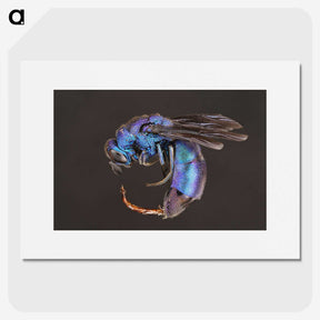 1-93_Insects-Unlocked-Project_picture