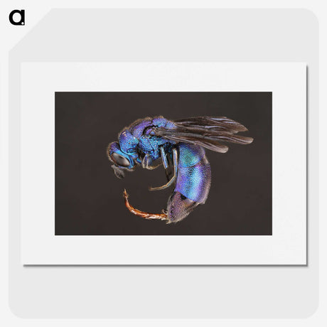 1-93_Insects-Unlocked-Project_picture