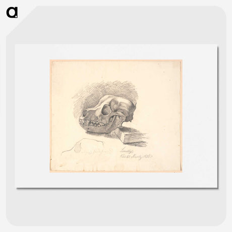 1-93_Johan-Thomas-Lundbye_picture