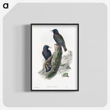 1-93_John-Gould_blk-crop