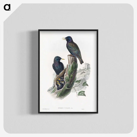 1-93_John-Gould_blk-crop