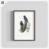 1-93_John-Gould_blk
