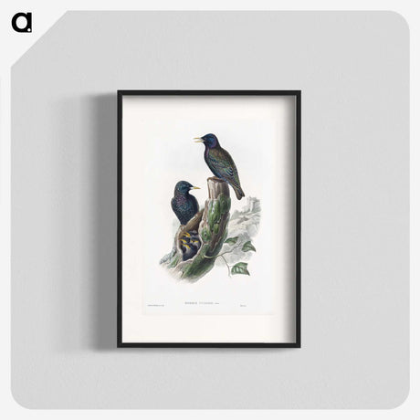 1-93_John-Gould_blk