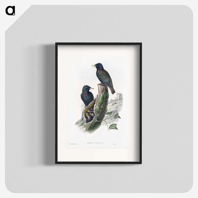 1-93_John-Gould_blk