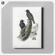 1-93_John-Gould_canvas