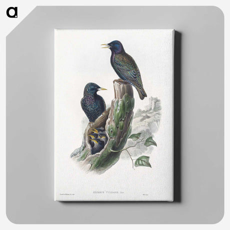 1-93_John-Gould_canvas