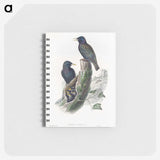 1-93_John-Gould_memo