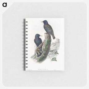 1-93_John-Gould_memo
