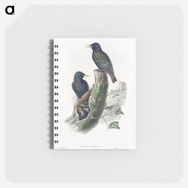 1-93_John-Gould_memo