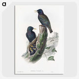 1-93_John-Gould_picture-crop
