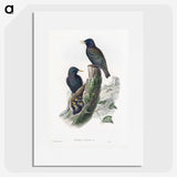 1-93_John-Gould_picture