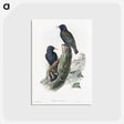 1-93_John-Gould_postcard