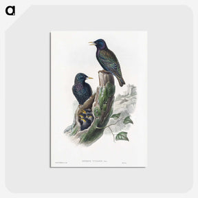 1-93_John-Gould_postcard