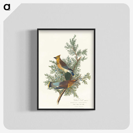 1-93_John-James-Audubon_blk-crop