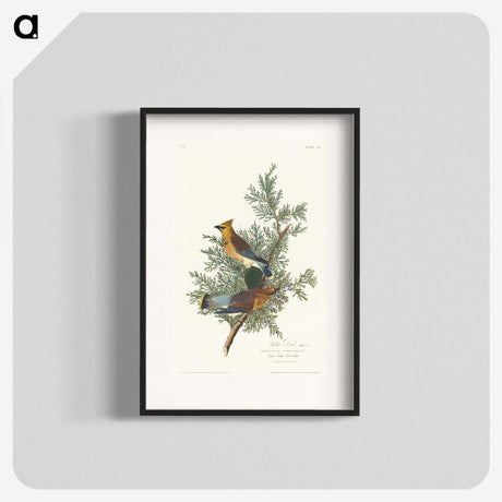 1-93_John-James-Audubon_blk