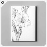 Gladiolus - Julie de Graag Canvas.