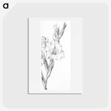 1-93_Julie-de-Graag_hagaki