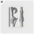 1-93_Karl-Blossfeldt_memo