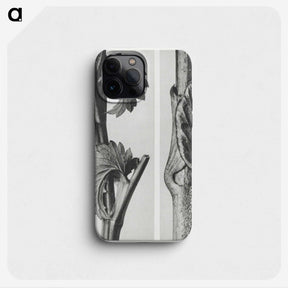 1-93_Karl-Blossfeldt_phone