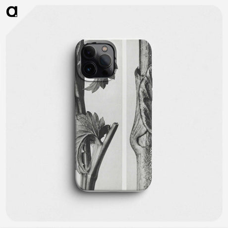 1-93_Karl-Blossfeldt_phone