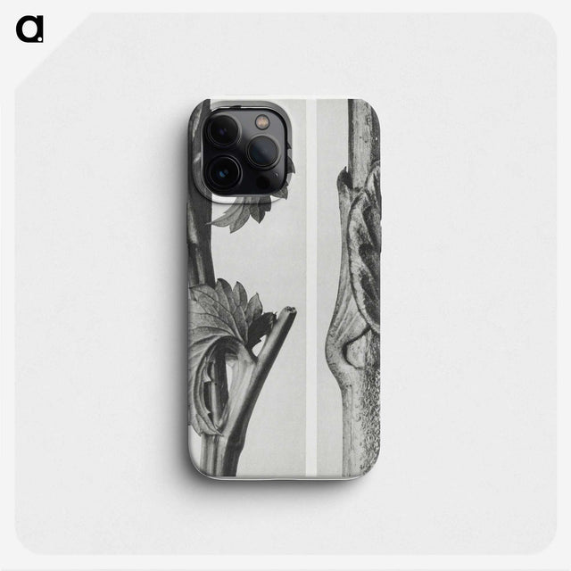 1-93_Karl-Blossfeldt_phone