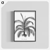 1-93_Les-Palmiers-Histoire-Iconographique_blk-crop