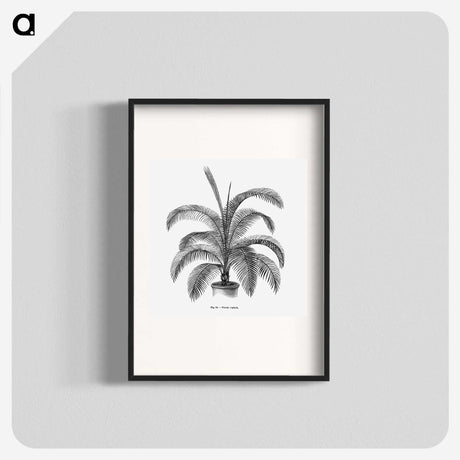 1-93_Les-Palmiers-Histoire-Iconographique_blk
