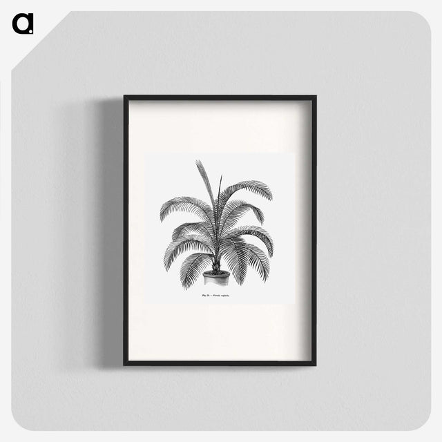 1-93_Les-Palmiers-Histoire-Iconographique_blk