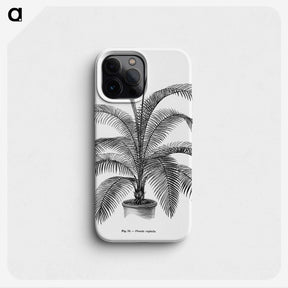 1-93_Les-Palmiers-Histoire-Iconographique_phone