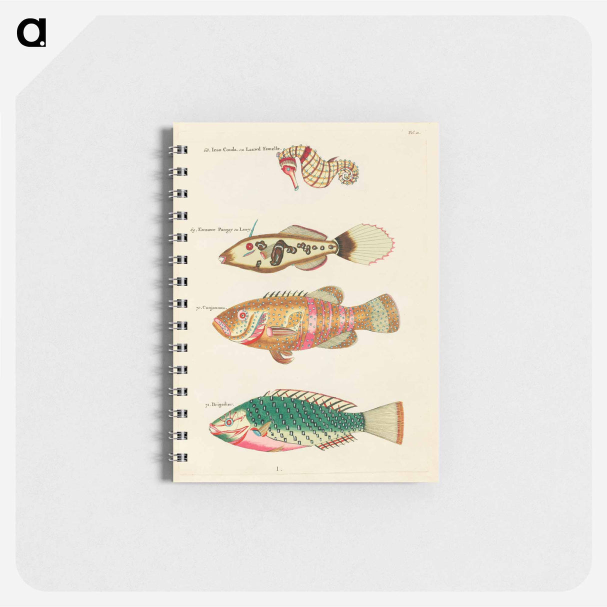 Moluccan Sea Creatures
 - ルイ ルナール Memo.