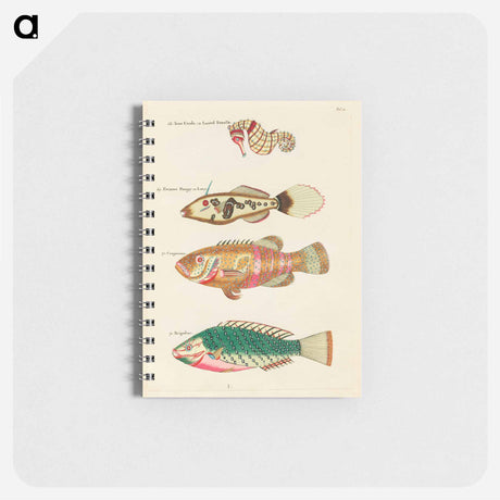 アートメモ帳-Moluccan Sea Creatures
 - ルイ ルナール Memo.