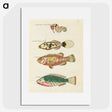 1-93_Louis-Renard_picture