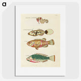 1-93_Louis-Renard_picture