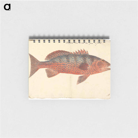 アートメモ帳-Najel
 - ルイージ バルガーニ Memo.