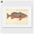 1-93_Luigi-Balugani_picture