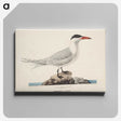 1-93_Magnus-von-Wright_canvas