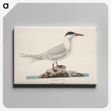 1-93_Magnus-von-Wright_canvas