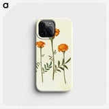 1-93_Maria-Sibylla-Merian_phone